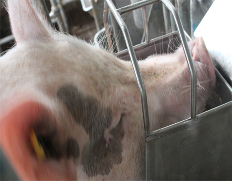 杭州智能操控厂家